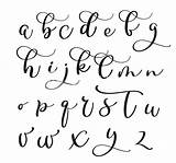 Calligraphy Kalligraphie Brushpen Alphabets Handwritten Buchstaben Alfabeto Handwriting Kostenlos Modernen Handgeschriebene Pinsel Vectors Vektorillustration Caligrafía Vecteezy sketch template