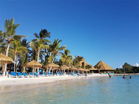 renaissance aruba beach resort casino timeshare users group