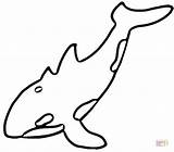 Orca Orka Killer Kolorowanka Kleurplaten Colorir Whales Dzieci Cartoon Druku sketch template