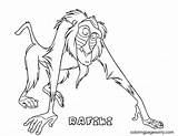 Rafiki Kleurplaten Timon Coloriage Getdrawings Tekeningen Adults Simba sketch template