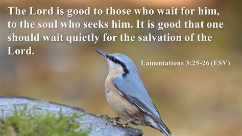 wait on the lord wait on
