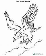 Eagle Coloring Pages Below Printable Click sketch template