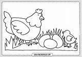 Gallinas Gallina Rincondibujos Infantiles sketch template