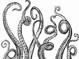Kraken Tentacles Tentacle Squid sketch template
