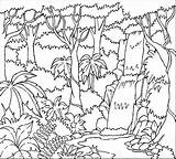 Rainforest Coloring Pages Printable Trees Layers Forest Tropical Rain Colouring Color Sheets Getcolorings Print Printables sketch template