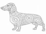 Sausage Dachshund sketch template