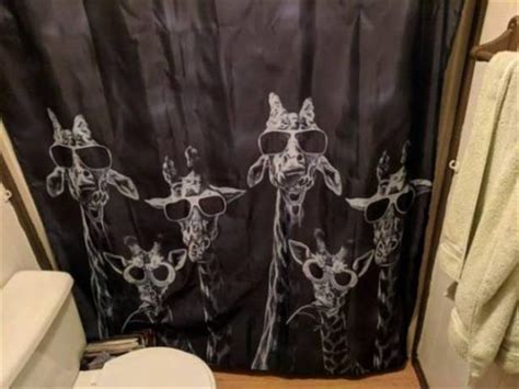 a shower curtain can make or break a bathroom 23 pics