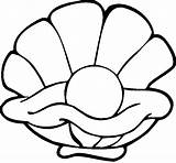 Shell Coloring Pages Oyster Printable Nature Clam Drawing Kb Color sketch template