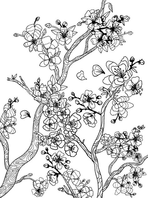 cherry blossom coloring pages  printable