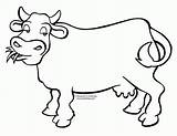 Cow Coloring Pages Cartoon Printable Dairy Cows Animals Clipart Moo Colouring Spots Animal Cliparts Drawing Print Color Para Tuesday Clip sketch template