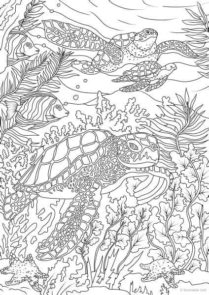 sea life coloring pages    sea coloring pages  print