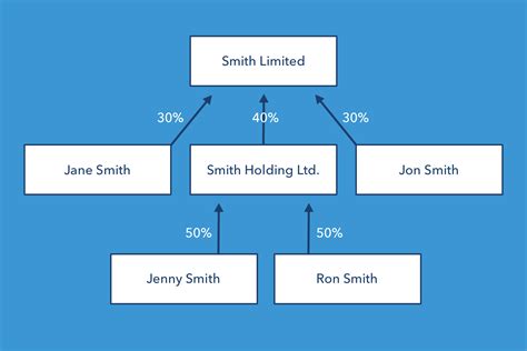 diagram  companys ultimate beneficial owners ubo  shareholder structure