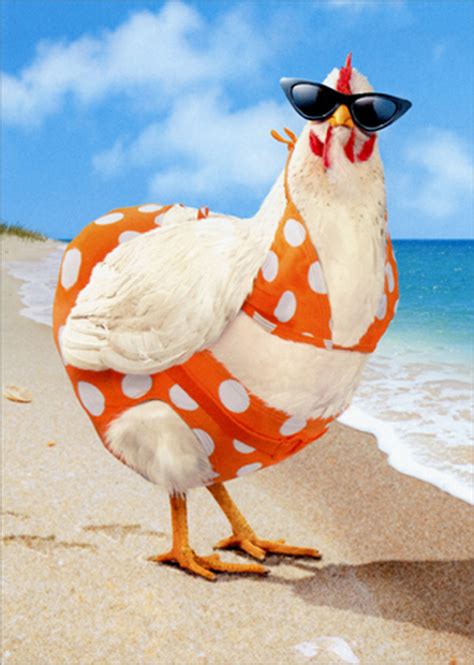 avanti bikini chicken funny humorous feminine birthday card for her