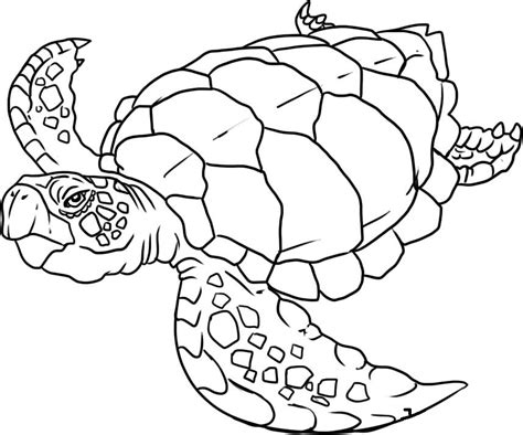 printable ocean life coloring pages coloring home