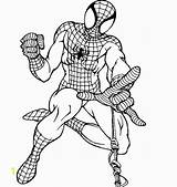 Spiderman Colorist Hulk Dibujos Divyajanani sketch template