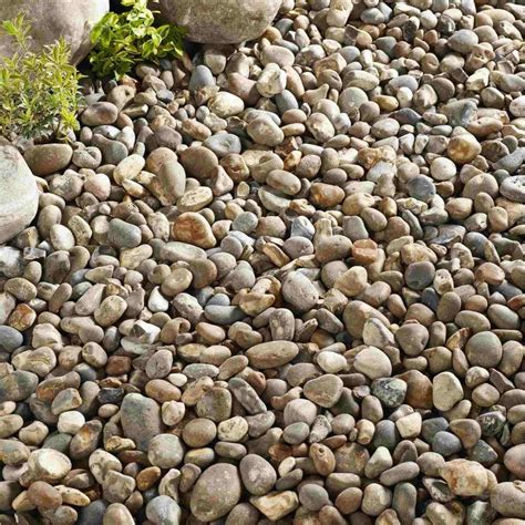 river decorative pebbles supplier  india exporter manufacturer anil