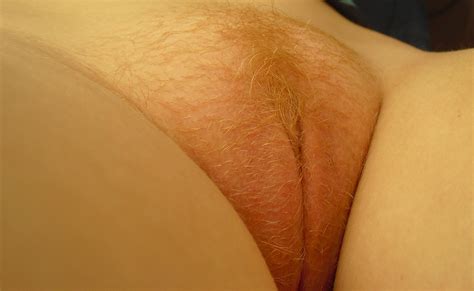 Close Up Of Vagina With Ginger Pubic Hair Imgur