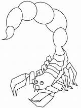 Scorpion Coloring Pages Scorpio Animals Printable Kids Outline Drawing Colouring Scorpions Color Book Print Getcolorings Coloringpagebook Getdrawings Advertisement Choose Board sketch template