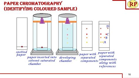 paper chromatographyradial paper chromatography principle procedure