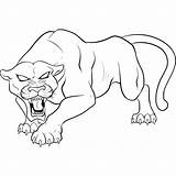 Panther Coloring Pages Printable Angry Kids Categories sketch template