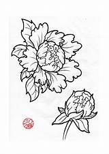 Peony Japanese Tattoo Flower Peonies Drawing Deviantart Flowers Drawings Outline Sketch Closed Tattoos Designs Lotus Styles Getdrawings Pixshark Illustration Pages sketch template