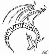 Dragon Skeleton Drawing Getdrawings sketch template