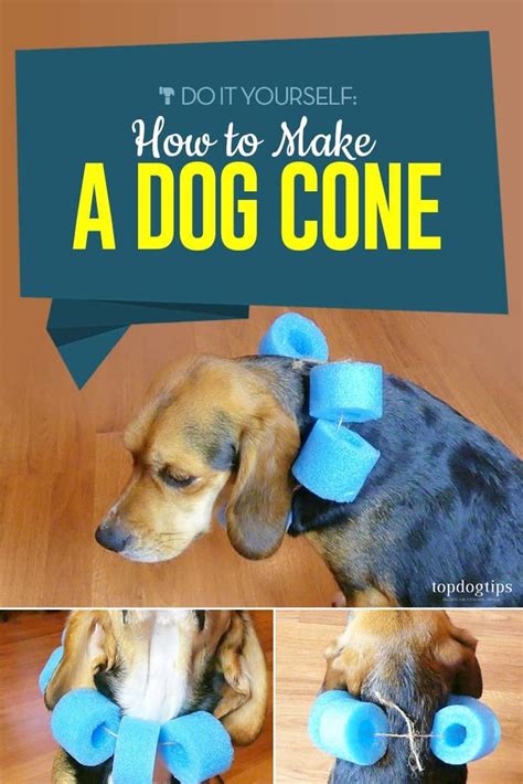 dog cone  simple diy guide