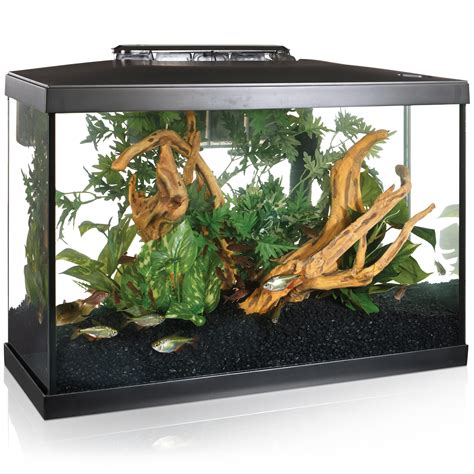 size heater   gallon aquarium aquariumia
