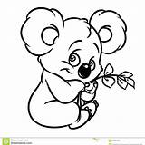 Koala Eucalyptus Clipartmag Koalas Getdrawings Adults sketch template