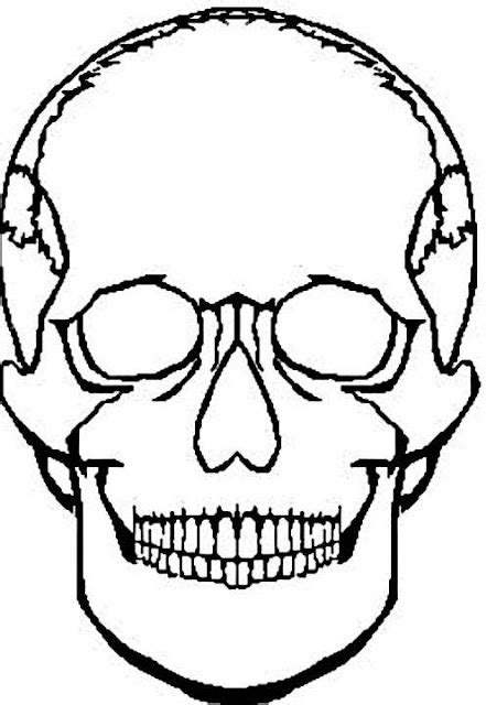 coloring pages  girls skull coloring pages