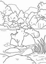 Coloring River Hippo Swim Netart sketch template