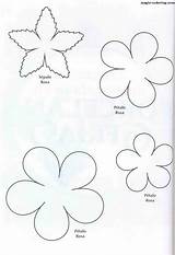 Template Flower Coloring Rose Paper Magic Pages Templates Flowers Choose Board sketch template