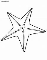 Starfish Coloring Clipart Pages sketch template