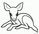 Coloring4free Deer sketch template