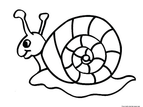 insect coloring pages  kids  getdrawings
