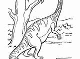 Plateosaurus Tsgos sketch template