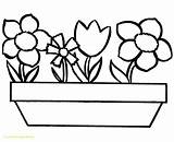 Mewarnai Bunga Sederhana Anak Berada Lanjut Lebih sketch template