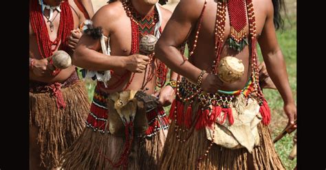 cultura tupi guarani religiao arte  modo de vida toda materia