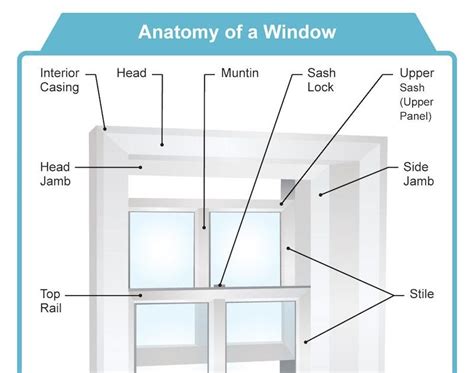 diagram  window