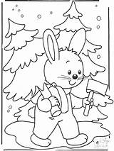 Neige Sneeuw Kleurplaten Konijn Coloriage Kaninchen Coniglio Natale Kerstboom Schnee Coelho Kerst Lapin Choinka Wintertiere Ausmalbilder Weihnachten Albero Inverno Coloriages sketch template