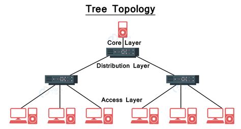 network topologies dataflair
