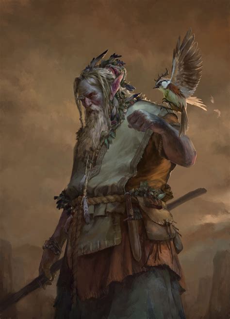 artstation druid tomas duchek  fantasy artwork fantasy