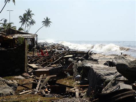 wave tells  true story  survival  loss    tsunami
