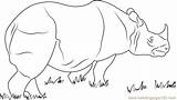 Rhino Coloring Horned Pages Rhinoceros Coloringpages101 sketch template