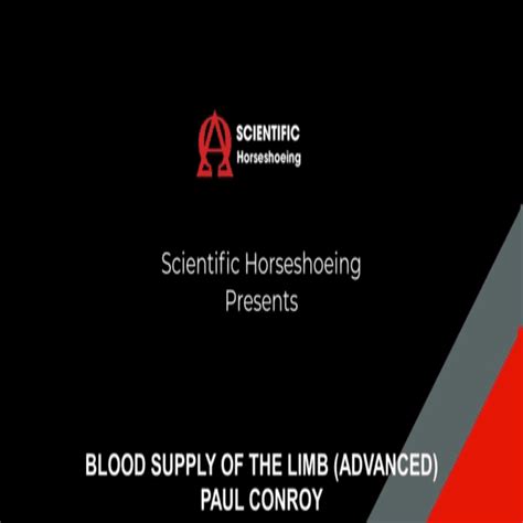 blood supply video scientific horseshoeing