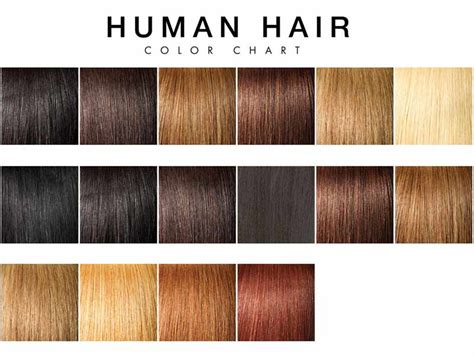 find   natural hair colors human hair exim