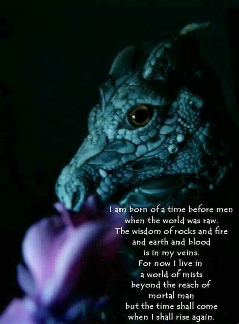powerful quotes  dragons   dragon lovers
