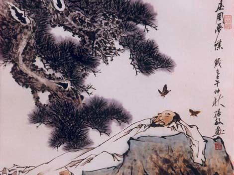 zhuang zhou chuang tzu dreaming    butterfly  photo