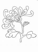 Colorat Flori Toamna Planse Crizantema Toamnă Planşe Găsiţi Multe Fise sketch template