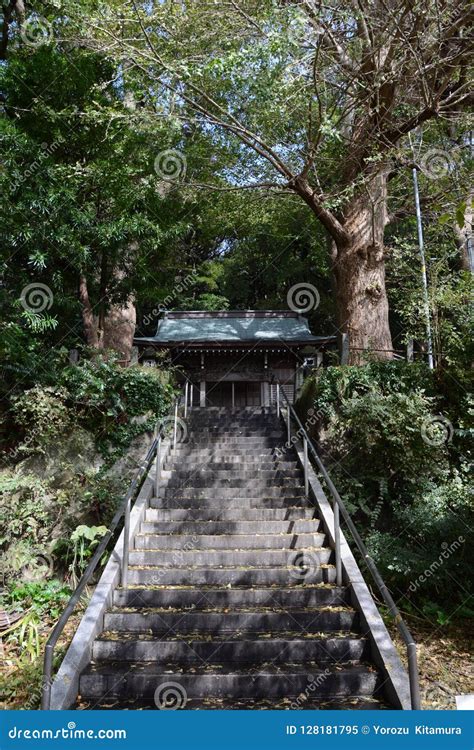 small shinto shrine stock image image  tree shrine